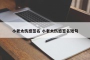 小老太伤感签名 小老太伤感签名短句